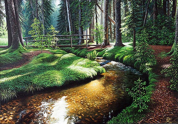 Fluss mit Brückchen im Wald