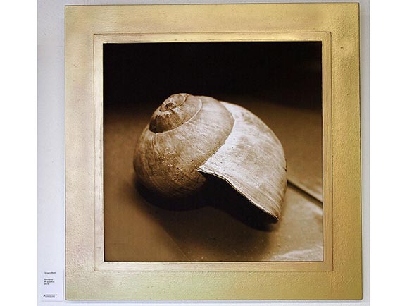 Schnecke im Quadrat
