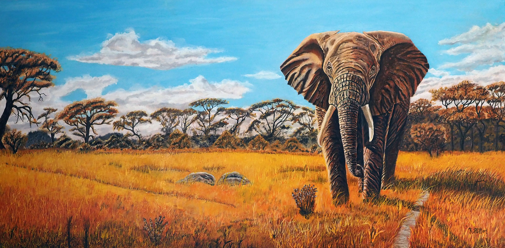  Rolland Pöllet - Elefant der Savanne
